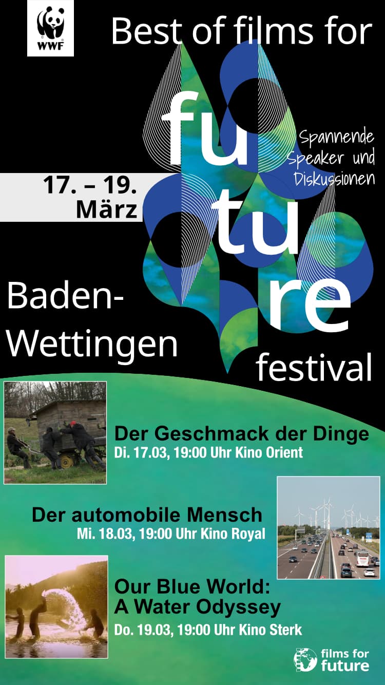 Digital flyer, Best Of 2026